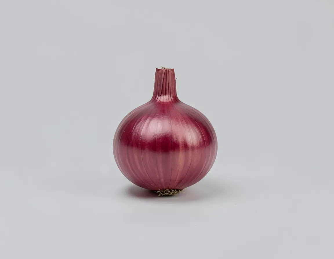 onion — illustrative image